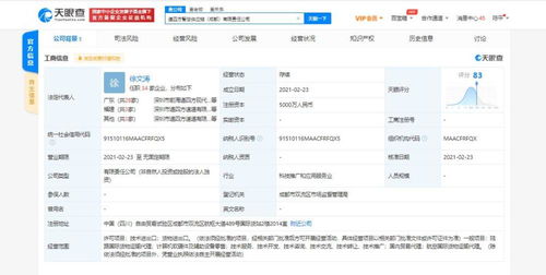 计算机软硬件及辅助设备零售 数字时代的商业基石